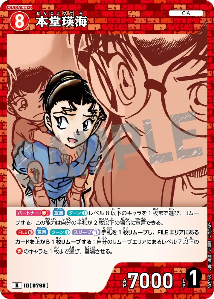 本堂瑛海 B07069 の商品画像