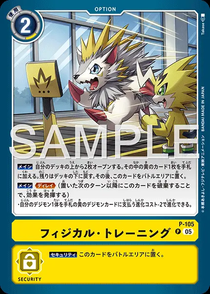 フィジカル・トレーニング(パラレル) P-105 の商品画像