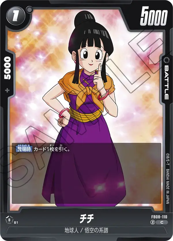 チチ FB08-110 の商品画像