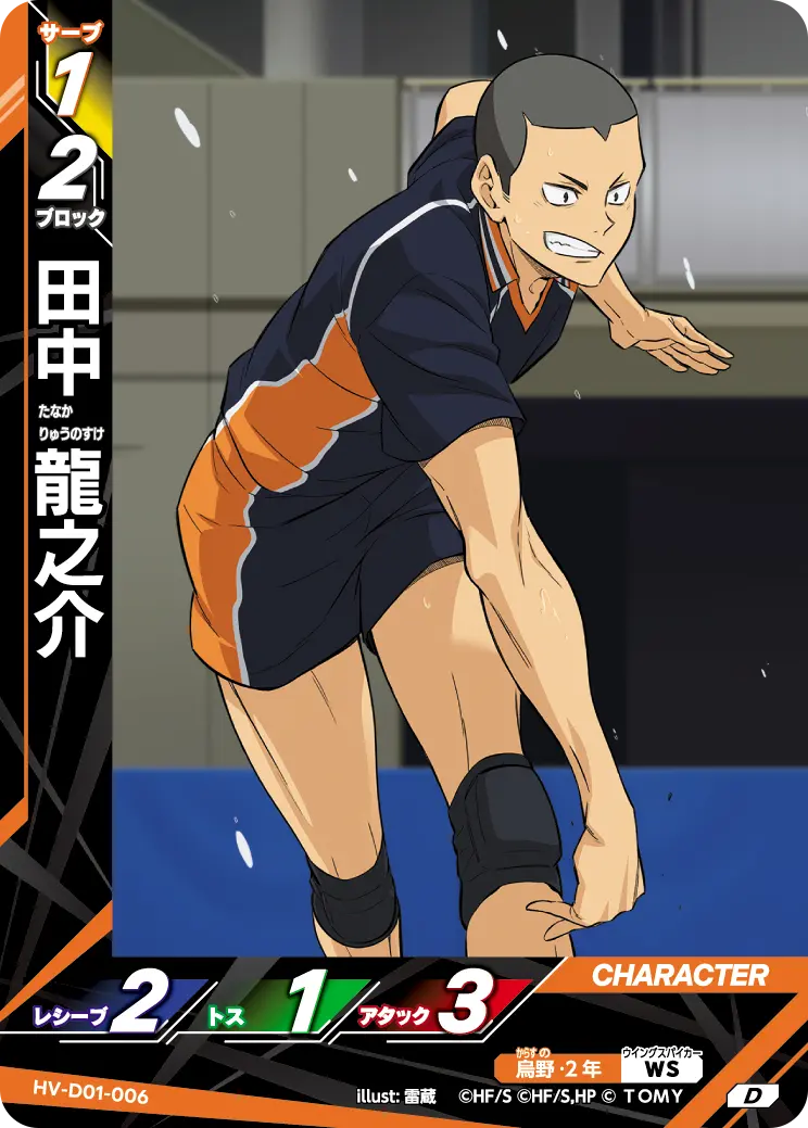 田中 龍之介 HV-D01-006 の商品画像