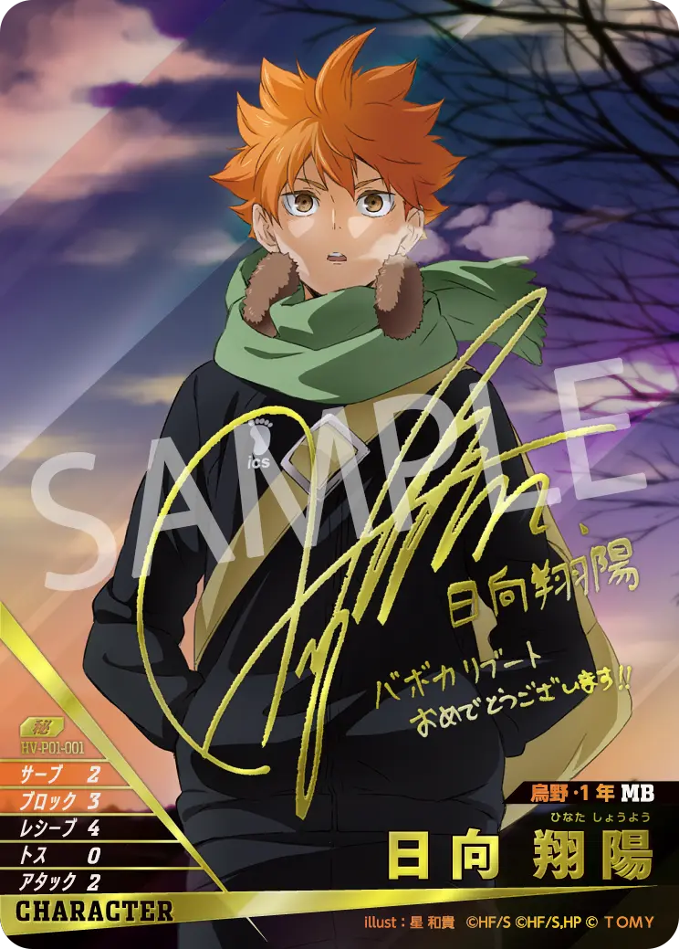 日向 翔陽 HV-P01-001 の商品画像