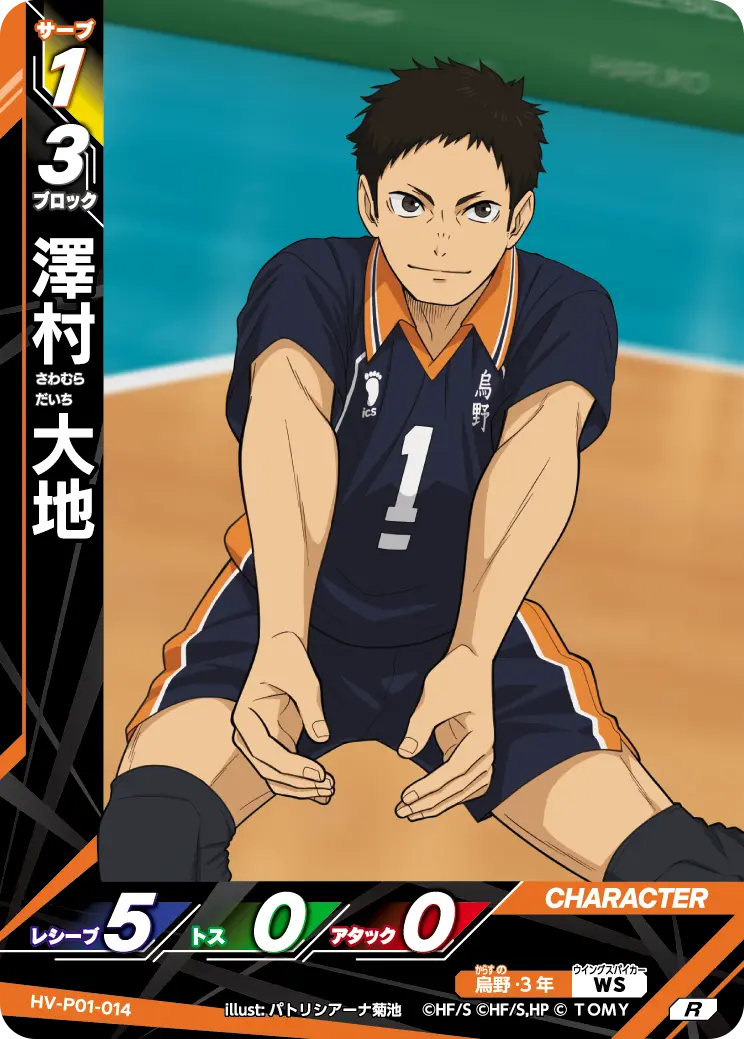 澤村 大地 HV-P01-014 の商品画像