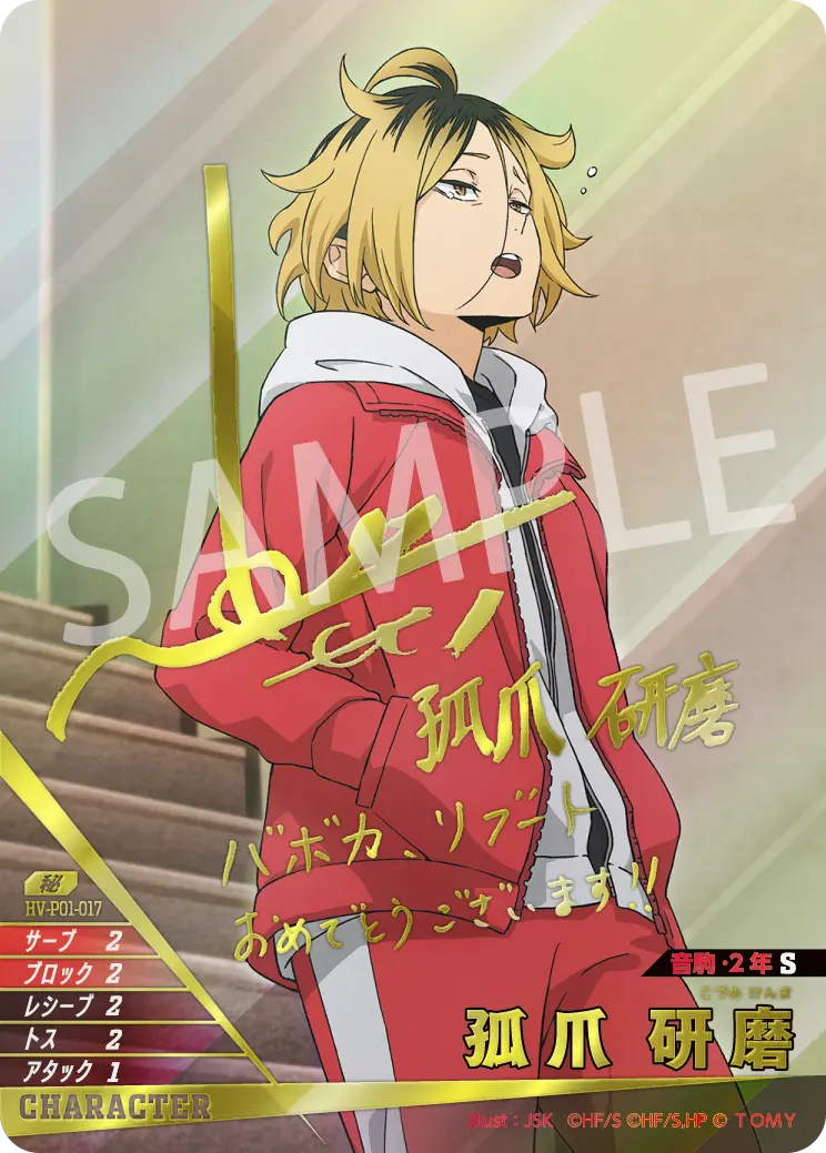 孤爪 研磨 HV-P01-017 の商品画像