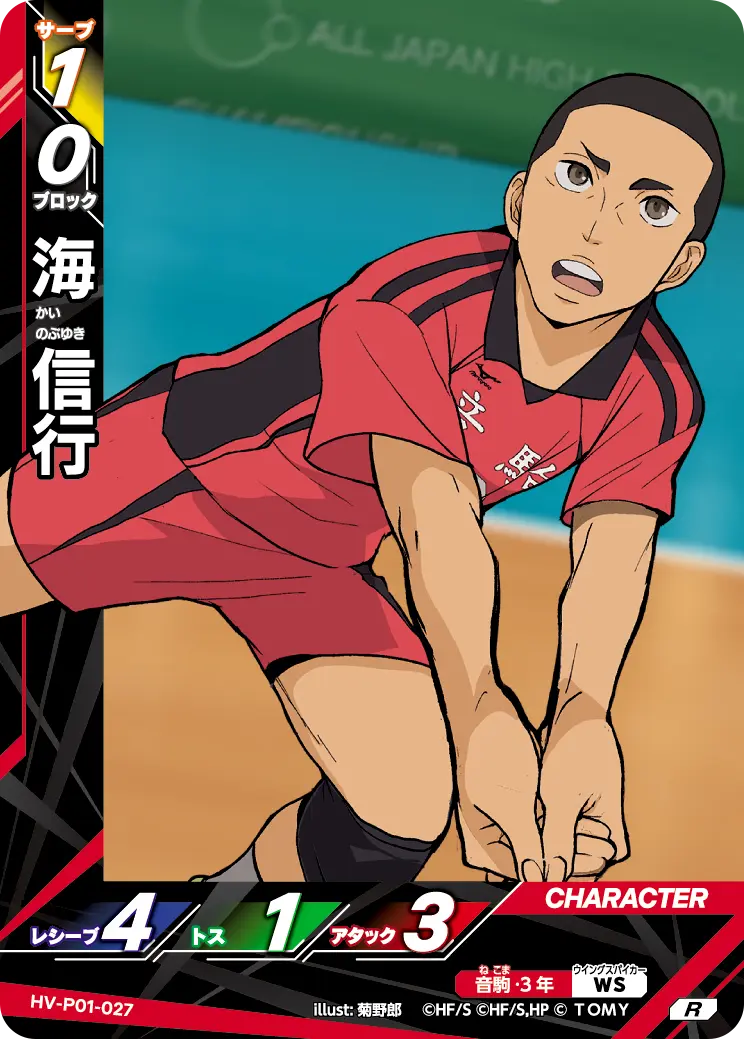 海 信行 HV-P01-027 の商品画像