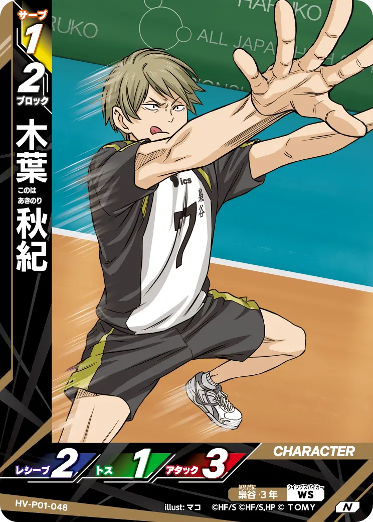 木葉 秋紀 HV-P01-048 の商品画像