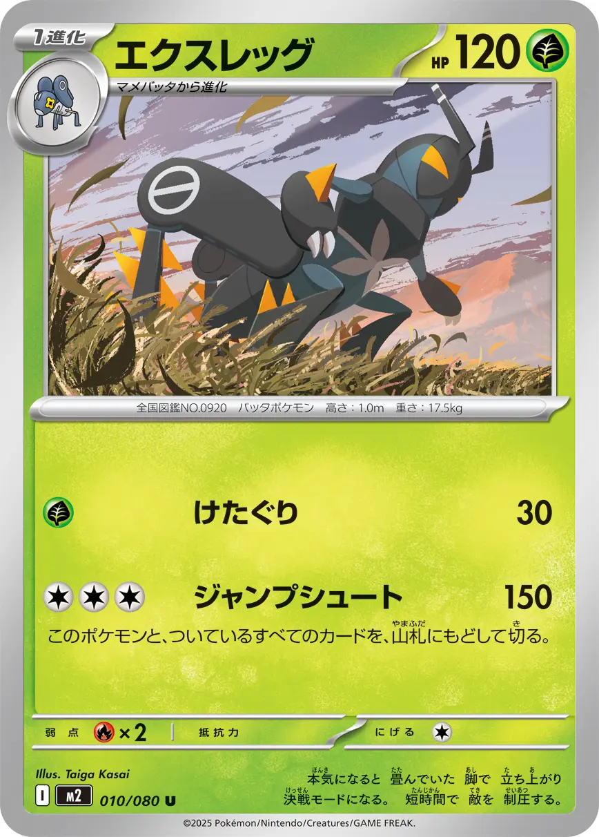 エクスレッグ(けたぐり/ジャンプシュート) M2 010/080 の商品画像