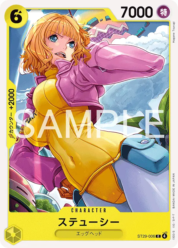 ステューシー ST29-006 の商品画像