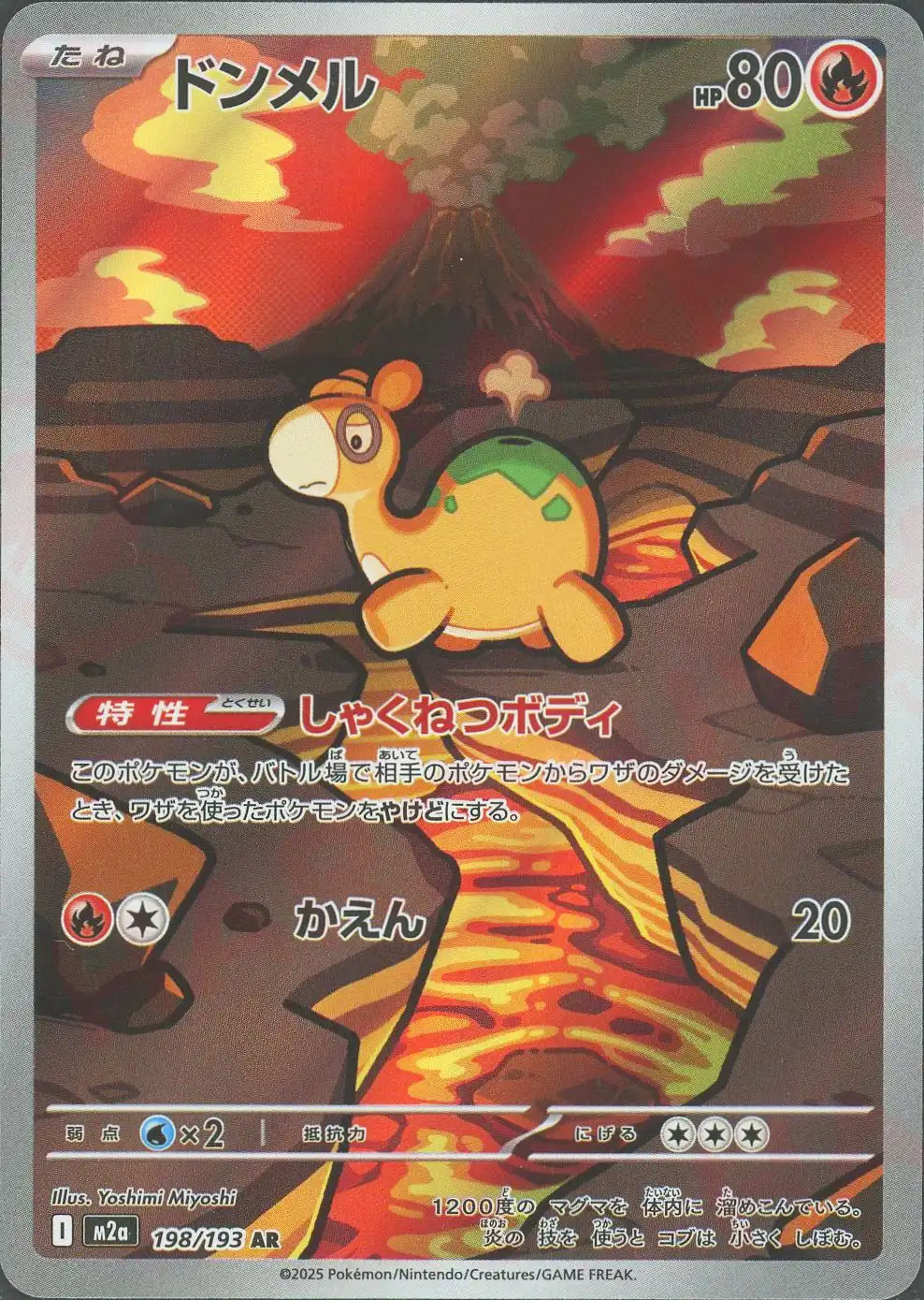 ドンメル(しゃくねつボディ/かえん) M2a 198/193 の商品画像