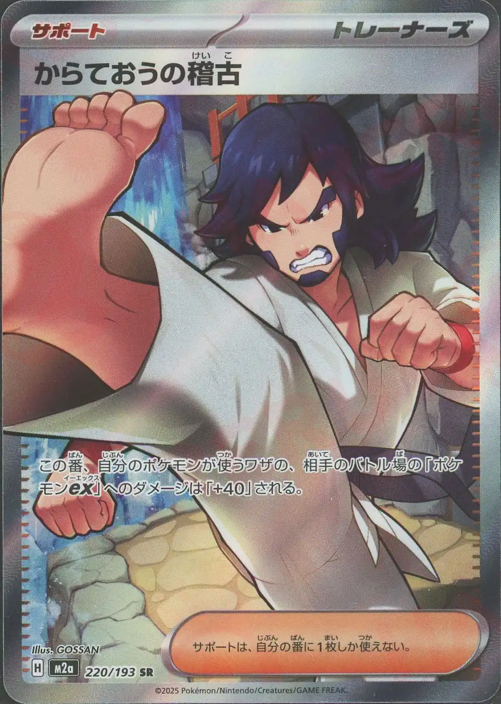 からておうの稽古 M2a 220/193 の商品画像