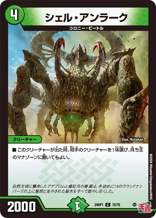 シェル・アンラーク DM24RP1 72/75 の商品画像