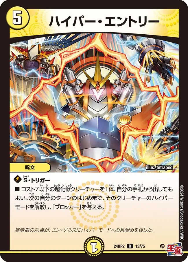 ハイパー・エントリー DM24RP2 13/75 の商品画像
