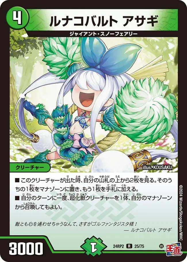ルナコバルト アサギ DM24RP2 25/75 の商品画像