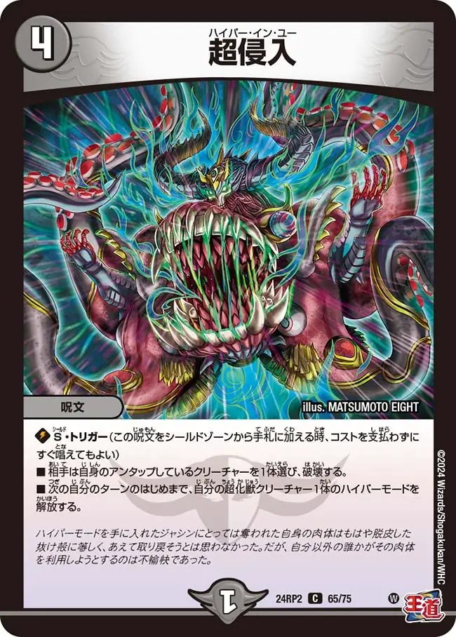 超侵入 DM24RP2 65/75 の商品画像