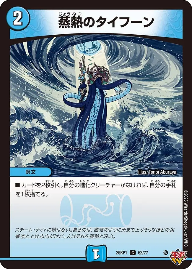 蒸熱のタイフーン DM25RP1 62/77 の商品画像