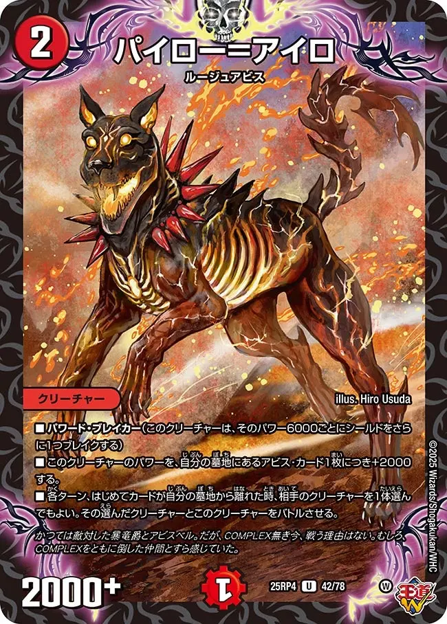 パイロー＝アイロ DM25RP4 42/78 の商品画像